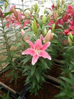 [5356 Mumbai DJ No02.JPG]